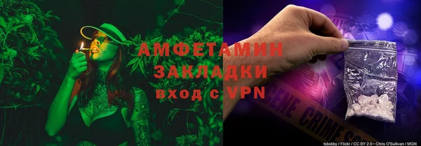 твердый Вяземский