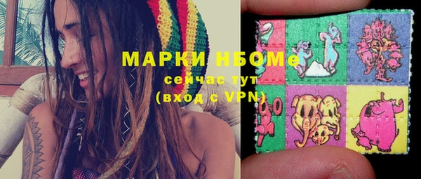 ПСИЛОЦИБИНОВЫЕ ГРИБЫ Алексин