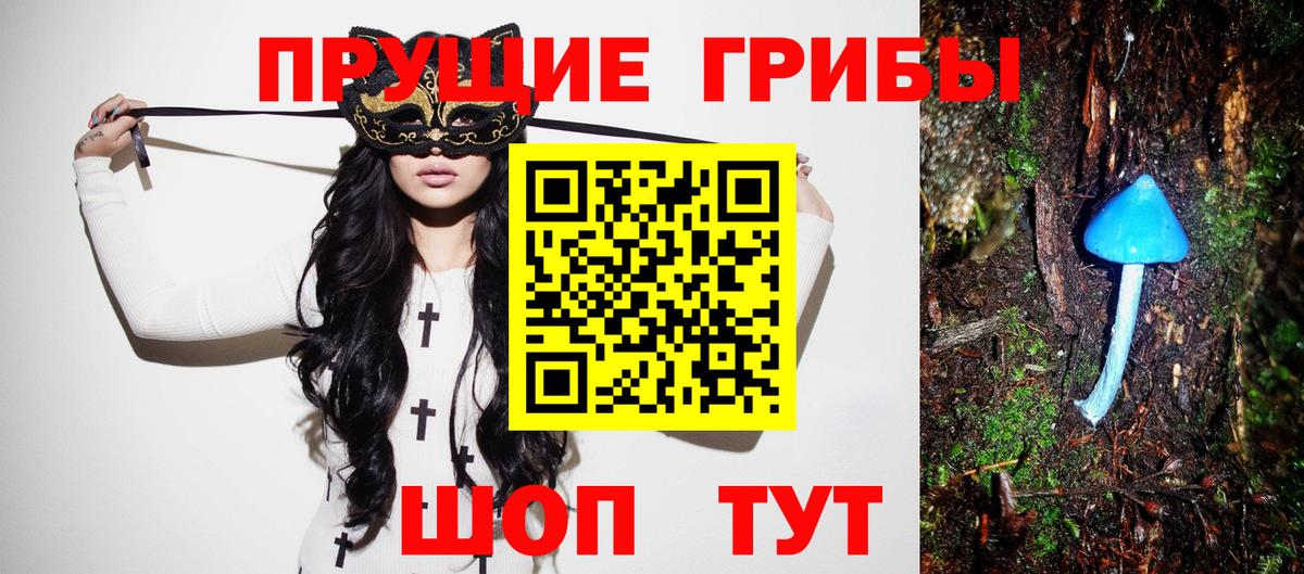 Галлюциногенные грибы MAGIC MUSHROOMS  Вход с VPN  Дмитров 