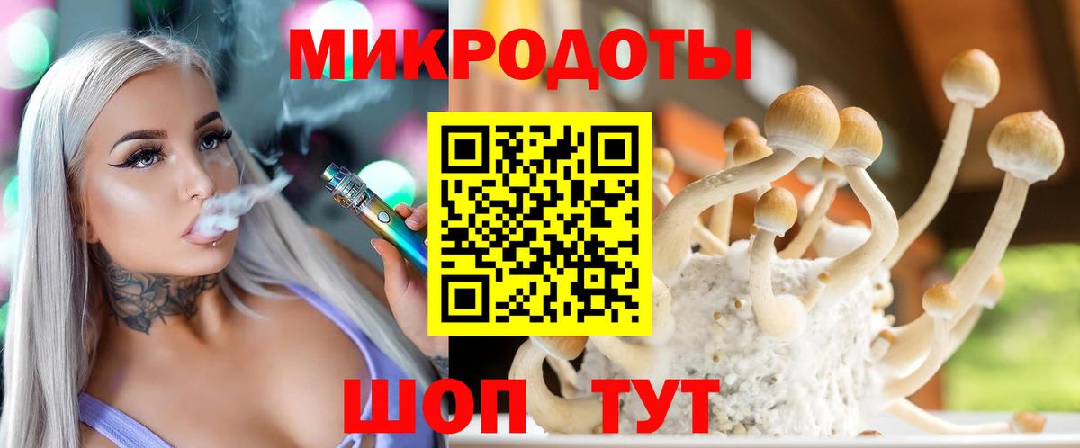 Псилоцибиновые грибы Cubensis Дмитров